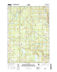 Lake NE Michigan Current topographic map, 1:24000 scale, 7.5 X 7.5 Minute, Year 2017