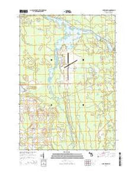 Lake Winyah Michigan Historical topographic map, 1:24000 scale, 7.5 X 7.5 Minute, Year 2014