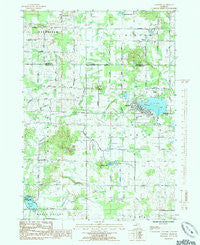 Lakeview Michigan Historical topographic map, 1:24000 scale, 7.5 X 7.5 Minute, Year 1985