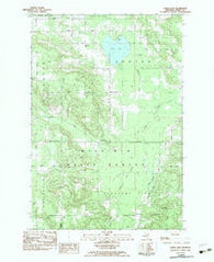 Larks Lake Michigan Historical topographic map, 1:25000 scale, 7.5 X 7.5 Minute, Year 1982
