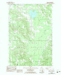 Larks Lake Michigan Historical topographic map, 1:25000 scale, 7.5 X 7.5 Minute, Year 1982