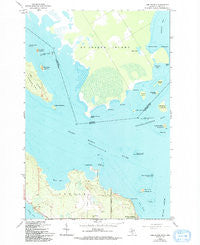 Lime Island Michigan Historical topographic map, 1:24000 scale, 7.5 X 7.5 Minute, Year 1964