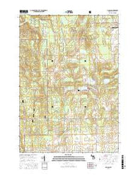 Lincoln Michigan Current topographic map, 1:24000 scale, 7.5 X 7.5 Minute, Year 2016