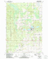 Lincoln Michigan Historical topographic map, 1:24000 scale, 7.5 X 7.5 Minute, Year 1989