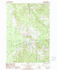 Luther Michigan Historical topographic map, 1:24000 scale, 7.5 X 7.5 Minute, Year 1987