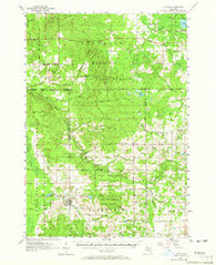 Luther Michigan Historical topographic map, 1:62500 scale, 15 X 15 Minute, Year 1957