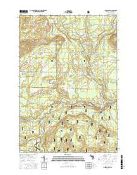 Luzerne NW Michigan Current topographic map, 1:24000 scale, 7.5 X 7.5 Minute, Year 2017