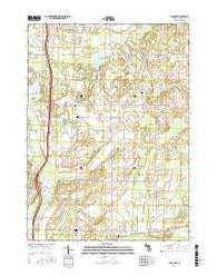 Lyon Lake Michigan Current topographic map, 1:24000 scale, 7.5 X 7.5 Minute, Year 2017