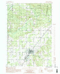 Mancelona Michigan Historical topographic map, 1:24000 scale, 7.5 X 7.5 Minute, Year 1985