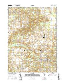Manchester Michigan Current topographic map, 1:24000 scale, 7.5 X 7.5 Minute, Year 2017