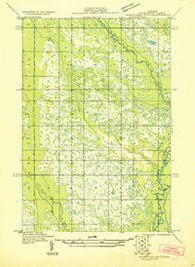 Manistique River NE Michigan Historical topographic map, 1:31680 scale, 7.5 X 7.5 Minute, Year 1931