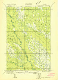 Manistique River NW Michigan Historical topographic map, 1:31680 scale, 7.5 X 7.5 Minute, Year 1931