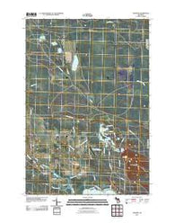 Manning Michigan Historical topographic map, 1:24000 scale, 7.5 X 7.5 Minute, Year 2011