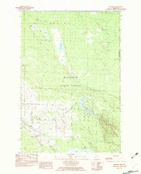 Manning Michigan Historical topographic map, 1:25000 scale, 7.5 X 7.5 Minute, Year 1982