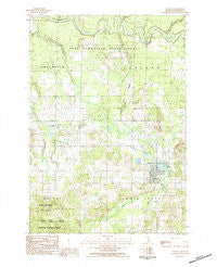 Manton Michigan Historical topographic map, 1:25000 scale, 7.5 X 7.5 Minute, Year 1983