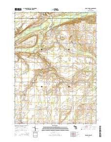 Maple Rapids Michigan Historical topographic map, 1:24000 scale, 7.5 X 7.5 Minute, Year 2014