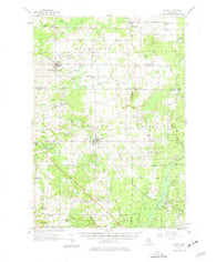 Marion Michigan Historical topographic map, 1:62500 scale, 15 X 15 Minute, Year 1957