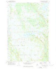 Marsh Creek Pool Michigan Historical topographic map, 1:24000 scale, 7.5 X 7.5 Minute, Year 1972