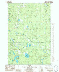 Marten Lake Michigan Historical topographic map, 1:24000 scale, 7.5 X 7.5 Minute, Year 1985