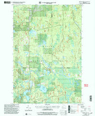 Marten Lake Michigan Historical topographic map, 1:24000 scale, 7.5 X 7.5 Minute, Year 1999