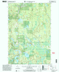 Marten Lake Michigan Historical topographic map, 1:24000 scale, 7.5 X 7.5 Minute, Year 1999