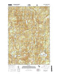 McCollum Lake Michigan Current topographic map, 1:24000 scale, 7.5 X 7.5 Minute, Year 2016