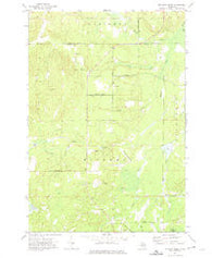 McGinn Creek Michigan Historical topographic map, 1:24000 scale, 7.5 X 7.5 Minute, Year 1972