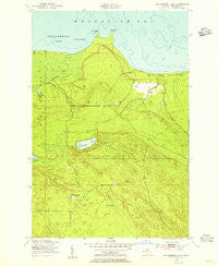 McNearney Lake Michigan Historical topographic map, 1:24000 scale, 7.5 X 7.5 Minute, Year 1951