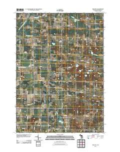 Mecosta Michigan Historical topographic map, 1:24000 scale, 7.5 X 7.5 Minute, Year 2011