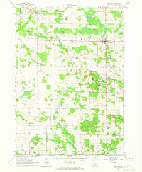 Mecosta Michigan Historical topographic map, 1:24000 scale, 7.5 X 7.5 Minute, Year 1964