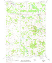Mecosta Michigan Historical topographic map, 1:24000 scale, 7.5 X 7.5 Minute, Year 1979