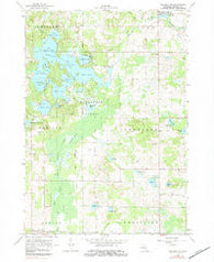 Mecosta Michigan Historical topographic map, 1:24000 scale, 7.5 X 7.5 Minute, Year 1964
