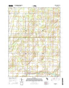 Mendon Michigan Historical topographic map, 1:24000 scale, 7.5 X 7.5 Minute, Year 2014