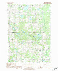 Merrill Lake Michigan Historical topographic map, 1:25000 scale, 7.5 X 7.5 Minute, Year 1984