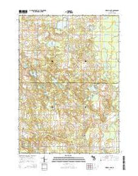 Merrill Lake Michigan Historical topographic map, 1:24000 scale, 7.5 X 7.5 Minute, Year 2014