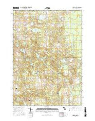 Merrill Lake Michigan Current topographic map, 1:24000 scale, 7.5 X 7.5 Minute, Year 2017
