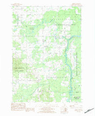 Merritt Michigan Historical topographic map, 1:25000 scale, 7.5 X 7.5 Minute, Year 1983