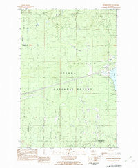 Merriweather Michigan Historical topographic map, 1:25000 scale, 7.5 X 7.5 Minute, Year 1982