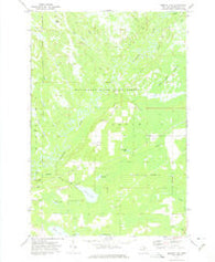 Merwin Lake Michigan Historical topographic map, 1:24000 scale, 7.5 X 7.5 Minute, Year 1972