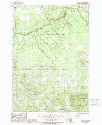 Mesick NE Michigan Historical topographic map, 1:24000 scale, 7.5 X 7.5 Minute, Year 1987