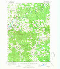 Mesick Michigan Historical topographic map, 1:62500 scale, 15 X 15 Minute, Year 1956