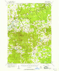 Mesick Michigan Historical topographic map, 1:62500 scale, 15 X 15 Minute, Year 1956