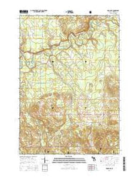 Mesick NE Michigan Historical topographic map, 1:24000 scale, 7.5 X 7.5 Minute, Year 2014
