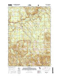 Mesick NE Michigan Current topographic map, 1:24000 scale, 7.5 X 7.5 Minute, Year 2016