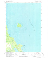 Middle Island Michigan Historical topographic map, 1:24000 scale, 7.5 X 7.5 Minute, Year 1971