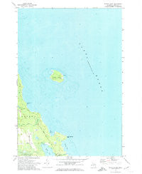 Middle Island Michigan Historical topographic map, 1:24000 scale, 7.5 X 7.5 Minute, Year 1971