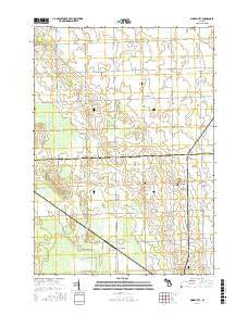 Minden City Michigan Current topographic map, 1:24000 scale, 7.5 X 7.5 Minute, Year 2016
