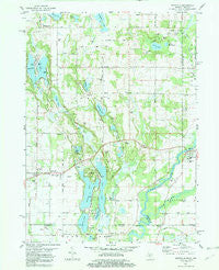 Mottville Michigan Historical topographic map, 1:24000 scale, 7.5 X 7.5 Minute, Year 1981