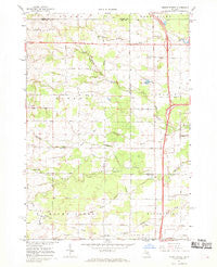 Mount Forest Michigan Historical topographic map, 1:24000 scale, 7.5 X 7.5 Minute, Year 1967