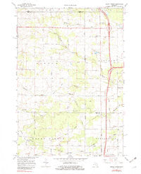 Mount Forest Michigan Historical topographic map, 1:24000 scale, 7.5 X 7.5 Minute, Year 1967